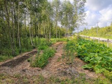 Близ оки - Серёжки-на-холме на Blizoki.ru (Близоки.ру)