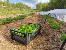 Близ оки - Серёжки-на-холме на Blizoki.ru (Близоки.ру)