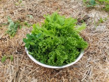 Близ оки - Серёжки-на-холме на Blizoki.ru (Близоки.ру)