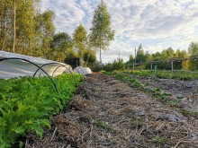 Близ оки - Серёжки-на-холме на Blizoki.ru (Близоки.ру)