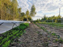 Близ оки - Серёжки-на-холме на Blizoki.ru (Близоки.ру)