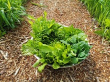 Близ оки - Серёжки-на-холме на Blizoki.ru (Близоки.ру)