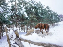 Близ оки - Открытово (Велегож Парк) на Blizoki.ru (Близоки.ру)