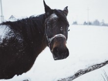 Близ оки - Открытово (Велегож Парк) на Blizoki.ru (Близоки.ру)