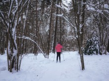 Близ оки - Открытово (Велегож Парк) на Blizoki.ru (Близоки.ру)