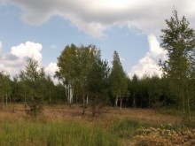 Близ оки - Верхняя Искань на Blizoki.ru (Близоки.ру)