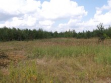 Близ оки - Верхняя Искань на Blizoki.ru (Близоки.ру)