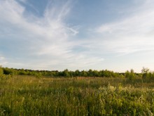 Близ оки - Верхняя Искань на Blizoki.ru (Близоки.ру)