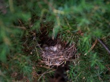 Близ оки - Верхняя Искань на Blizoki.ru (Близоки.ру)