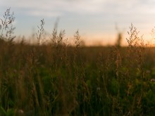 Близ оки - Верхняя Искань на Blizoki.ru (Близоки.ру)